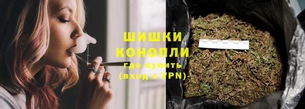 Альфа ПВП Гусев