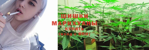 Альфа ПВП Гусев