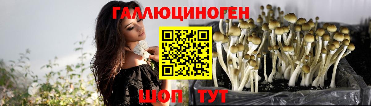 Галлюциногенные грибы Magic Shrooms  купить  сайты  Сызрань  Вход с VPN  Галлюциногенные грибы Cubensis 